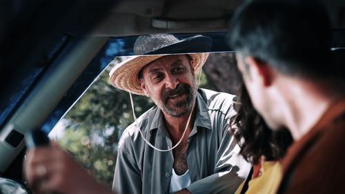 Evcilik filmas žiurėti online