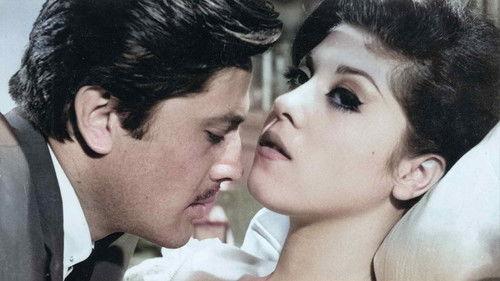 The Broken Lifes filmas žiurėti online