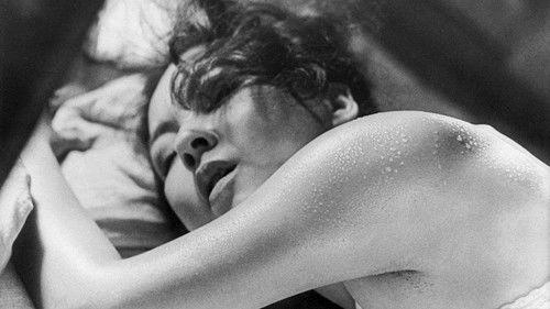 Sweet Sweat filmas žiurėti online