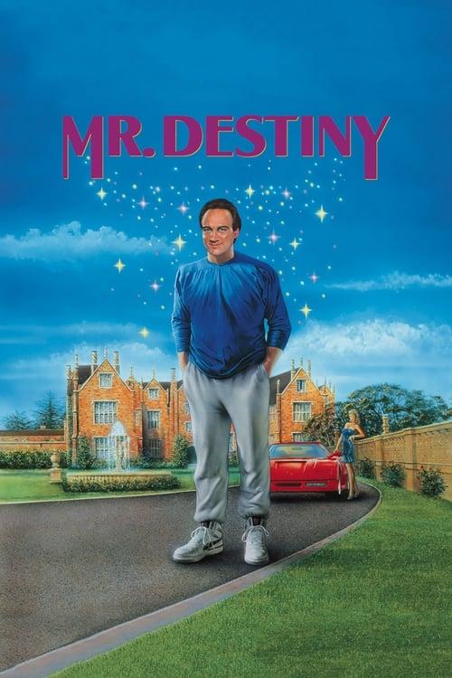 Mr. Destiny filmas online