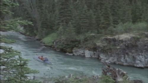 Cry from the Mountain filmas žiurėti online