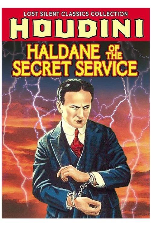 Haldane of the Secret Service filmas online