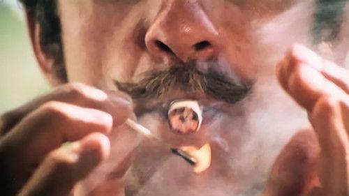 The Bookseller Who Gave Up Bathing filmas žiurėti online