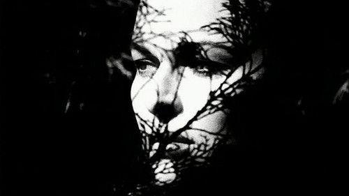 Nocturne 29 filmas žiurėti online