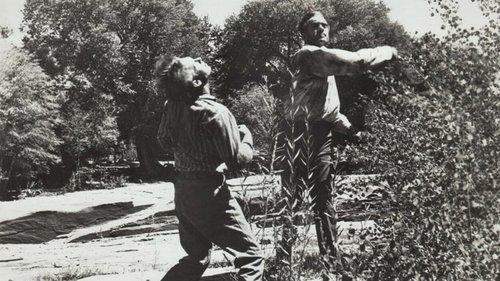 Shotgun filmas žiurėti online