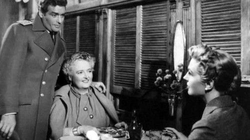 Forbidden Love filmas žiurėti online