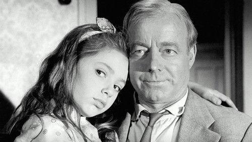 The Liar filmas žiurėti online