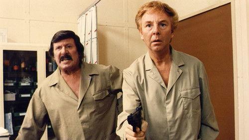 Zware jongens filmas žiurėti online