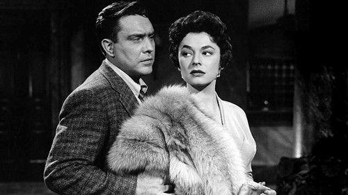 The Shanghai Story filmas žiurėti online