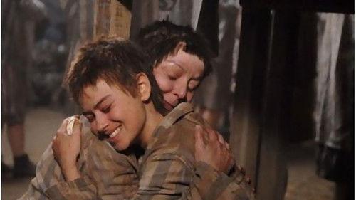 Memories of Anne Frank filmas žiurėti online