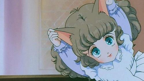 The Star of Cottonland filmas žiurėti online