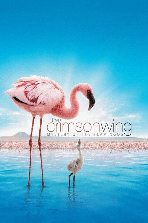 The Crimson Wing: Mystery of the Flamingos filmas online