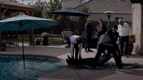 Nightshade filmas žiurėti online