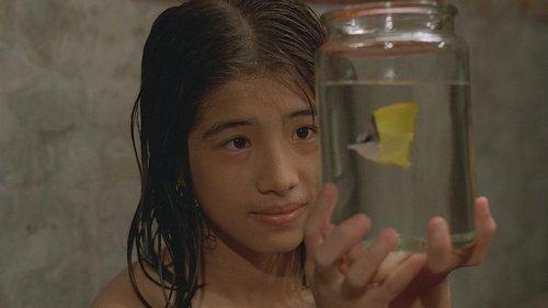 Tropical Fish filmas žiurėti online