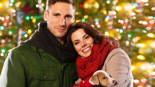 Debbie Macomber's Dashing Through The Snow filmas žiurėti online