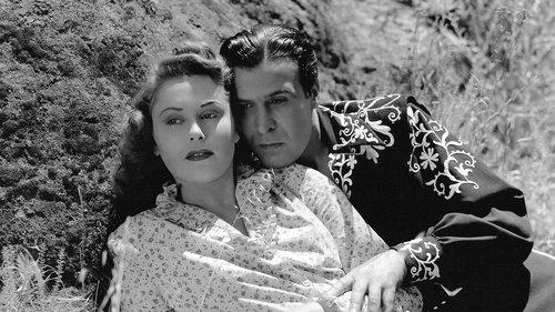 Zorro's Black Whip filmas žiurėti online