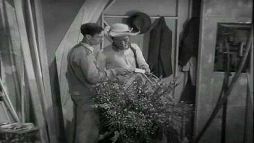 Águila o sol filmas žiurėti online