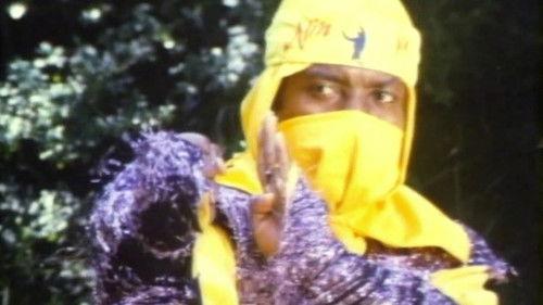 Ninja Operation - Knight and Warrior filmas žiurėti online