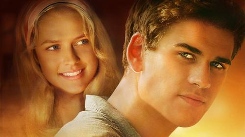 Love and Honor filmas žiurėti online