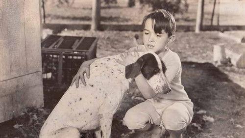 The Biscuit Eater filmas žiurėti online