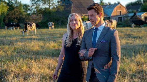 Signed, Sealed, Delivered: Home Again filmas žiurėti online