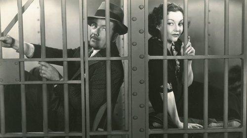 News Is Made at Night filmas žiurėti online