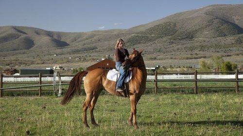 Storm Rider filmas žiurėti online