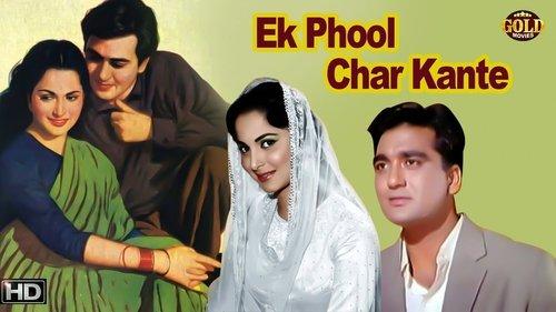 Ek Phool Char Kaante filmas žiurėti online