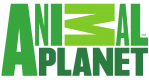 Animal planet logo